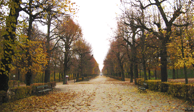 Herbstimpression: Wien, Schloss Schönbrunn