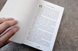 Buchsatz: Rattenlied von Maike Claußnitzer